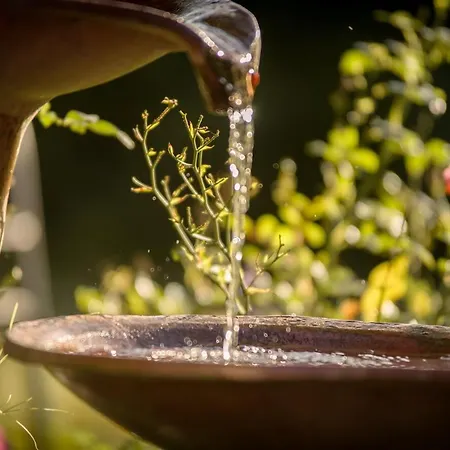 Angerresidenz 3* צוויזל