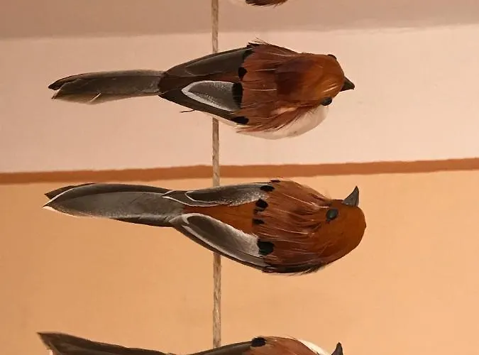 安格尔旅馆